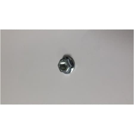 Kohler Nut Hex Flange Lock (M6) 14 100 09-S